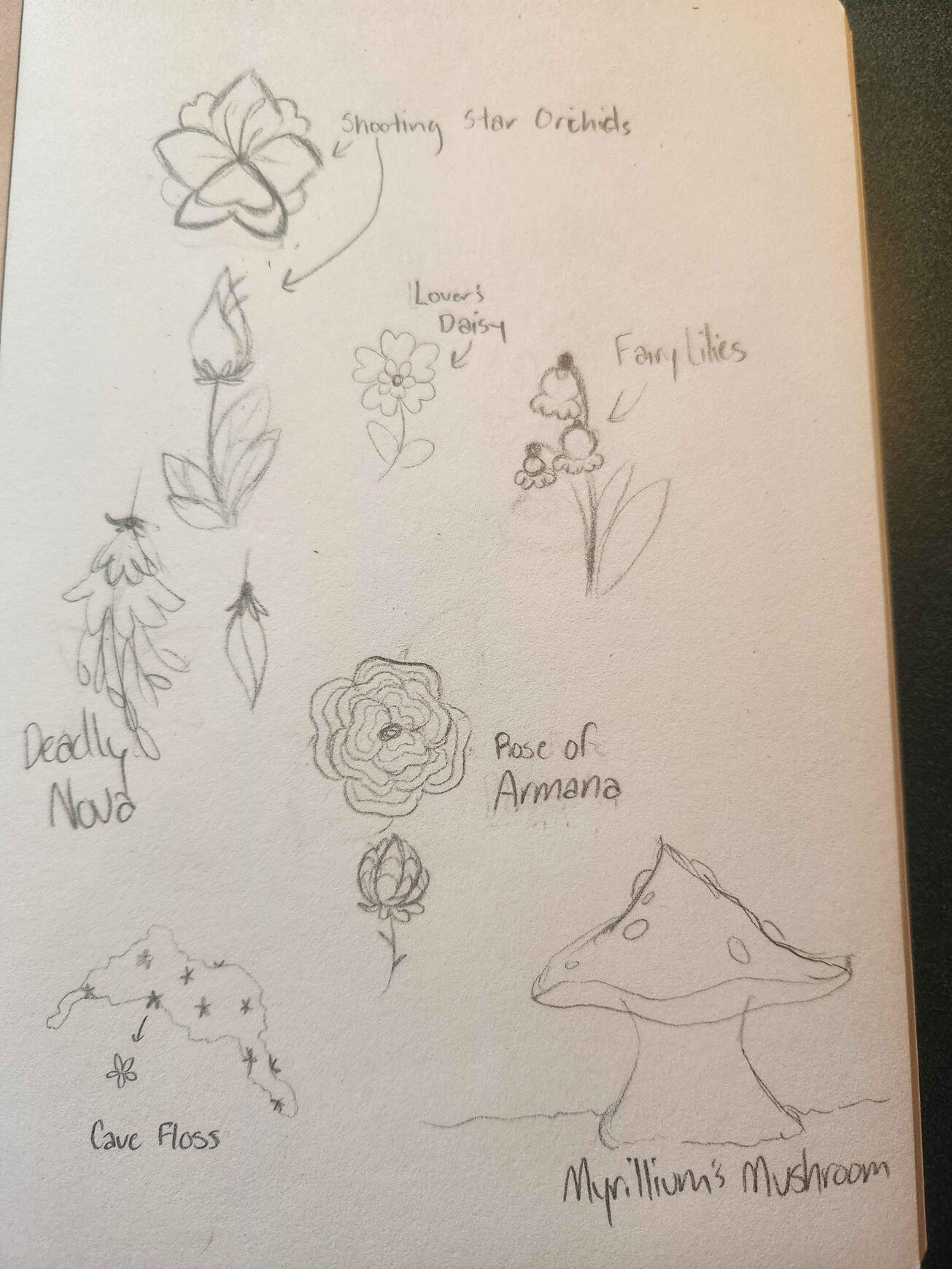 Additional Concept Doodles